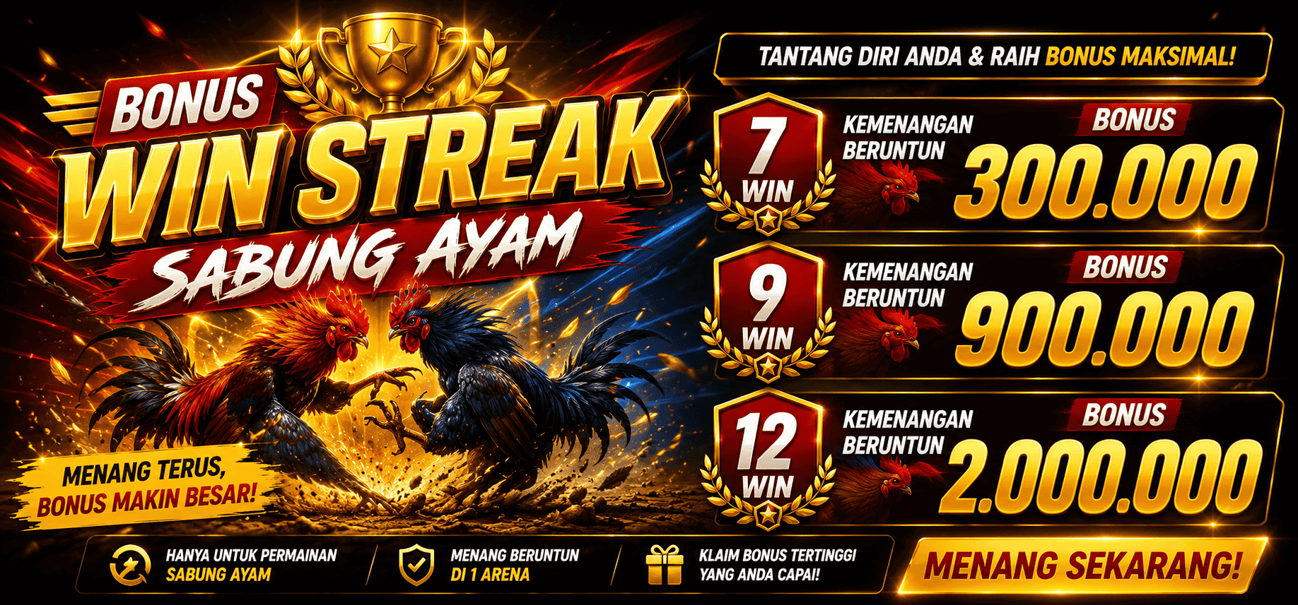 Informasi Win Streak Sabung Ayam